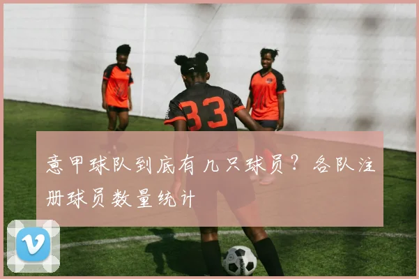 意甲球队到底有几只球员？各队注册球员数量统计