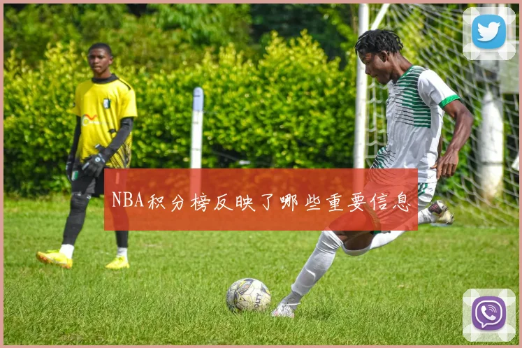 NBA积分榜反映了哪些重要信息