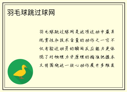 羽毛球跳过球网